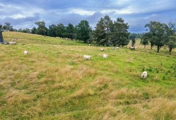 Działka inna Big Hill