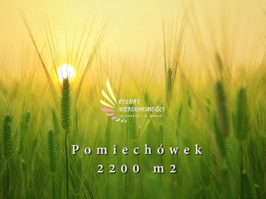 Działka rolna Pomiechówek-1