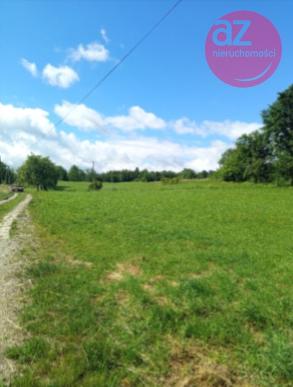 Działka budowlano-rolna z lasem - 2.61h w Łużnej - View 5