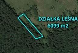 Działka leśna Kamienica Polska