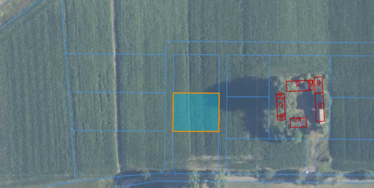 Skotniki: Malownicza działka 1000m² blisko Łodzi - View 2