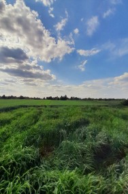 Działka siedliskowo-rolna o powierzchni 8000 mkw,-2