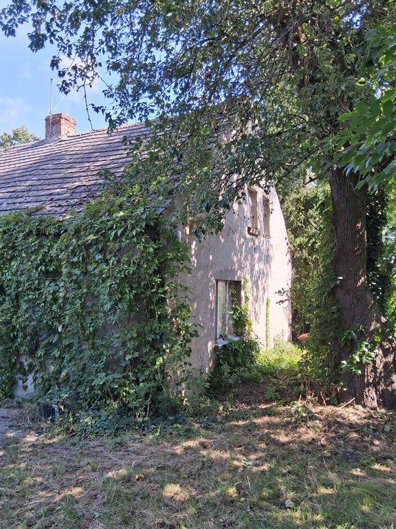 Dom na sprzedaż, 5 pokoi, 254 m², Byczyna