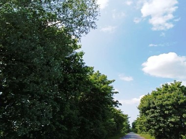 Działka w Groszkowie -7km od plaży w Sztutowie! Cisza i spokój!-1