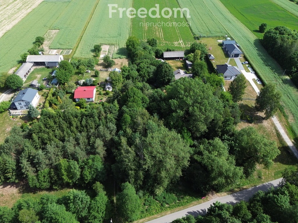 Duża działka budowlana z MPZP | 20 km od Lublina - Widok 2