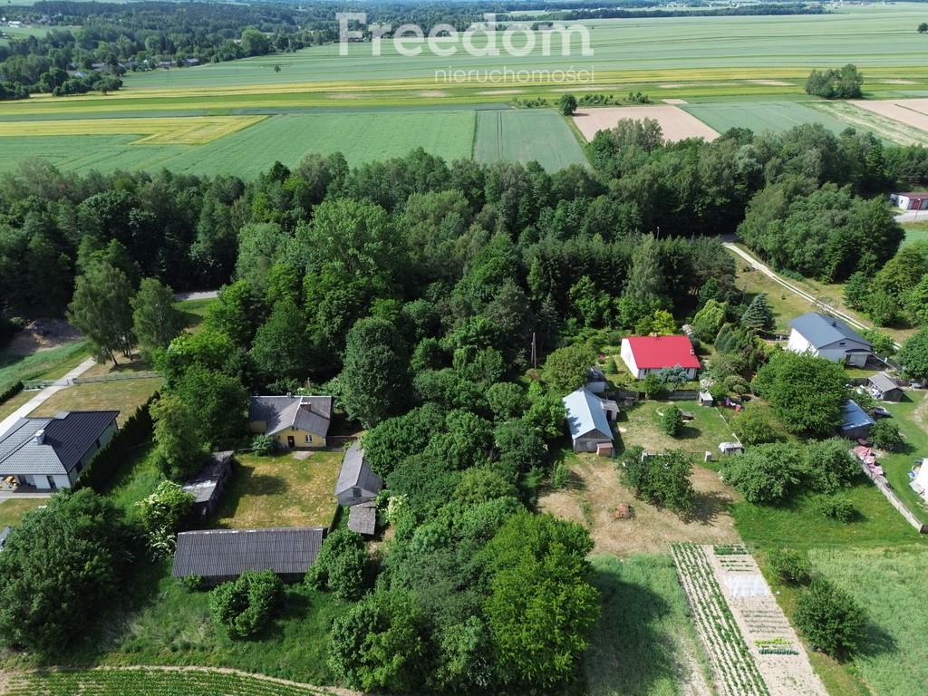 Duża działka budowlana z MPZP | 20 km od Lublina - Widok 5