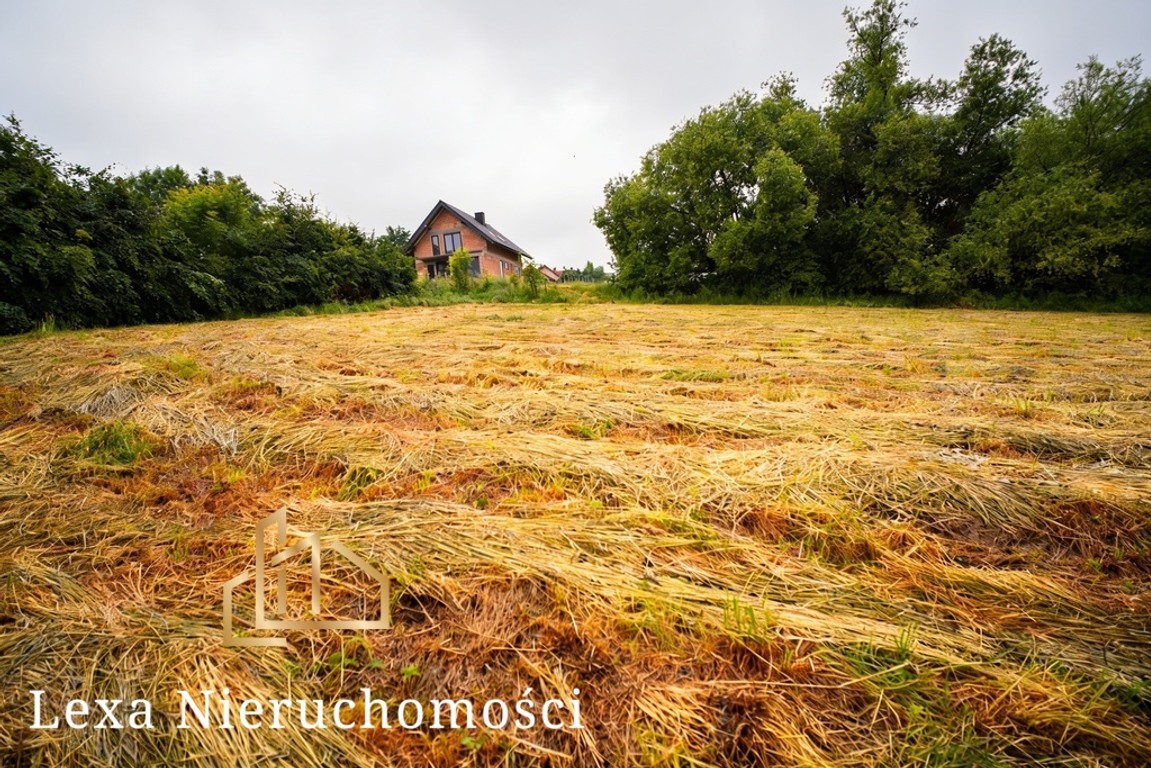 Działka 17 arów /Rzeszotary/ ul. Szewska, małopolskie