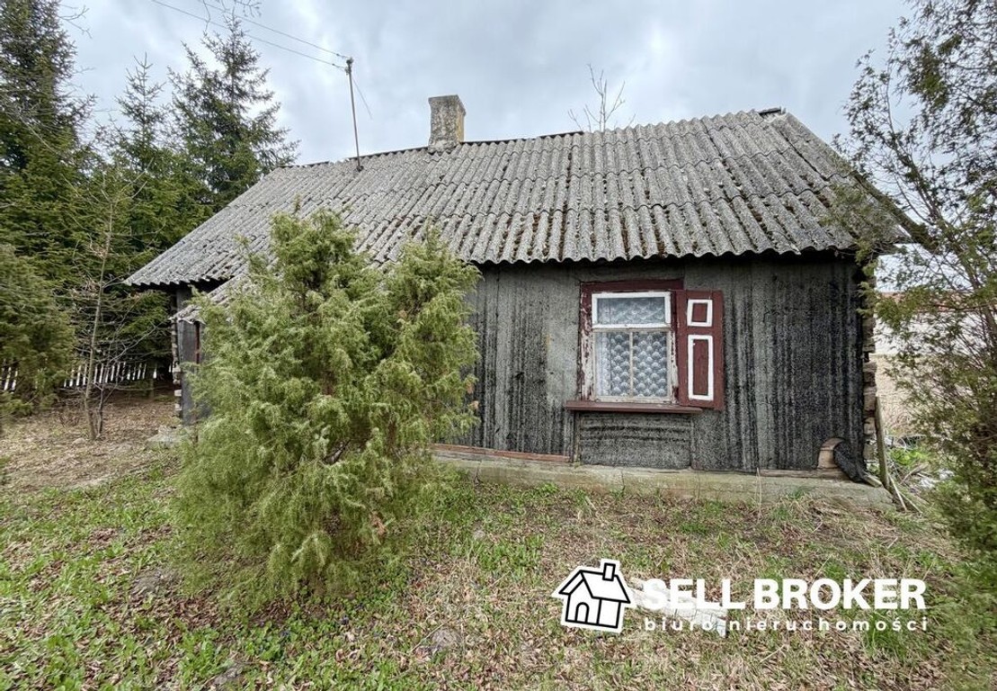 Działka / Siedlisko na wsi - duża działka: 7685 m² - Widok 6
