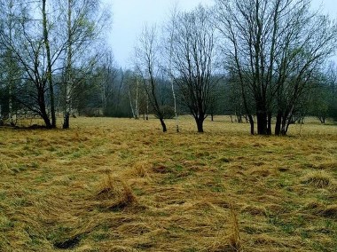 Działka 800 m2 na sprzedaż-1