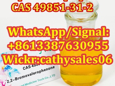 2-Bromovalerophenone-1