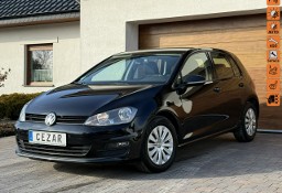 Volkswagen Golf VII VII 13r. benzyna 5 drzwi bezwypadkowy z Niemiec