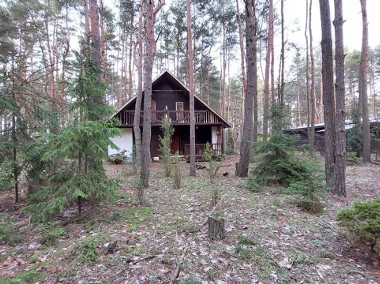 Działka rekreacyjna z domem w lesie-1