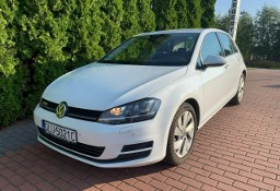 Volkswagen Golf VII 1.6 TDI Xenon Grzane fotele Navi BT