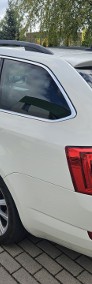Skoda Octavia 1.6TDI 2015r DSG/Alu/Hak - Ładny stan-4