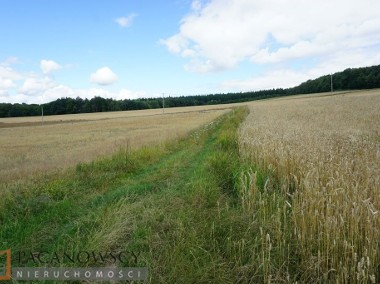 Działka rolna Karniowice-1