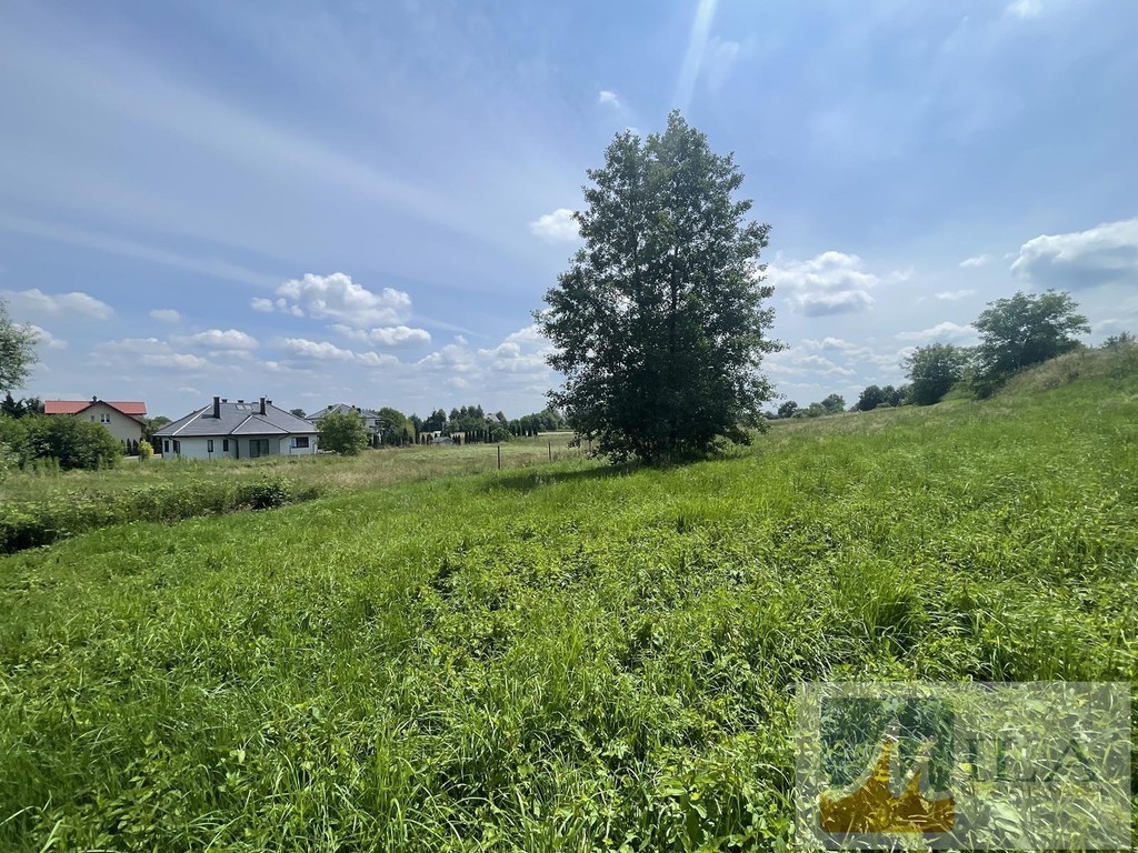 działka budowlano-rolna 29 ar - Widok 3