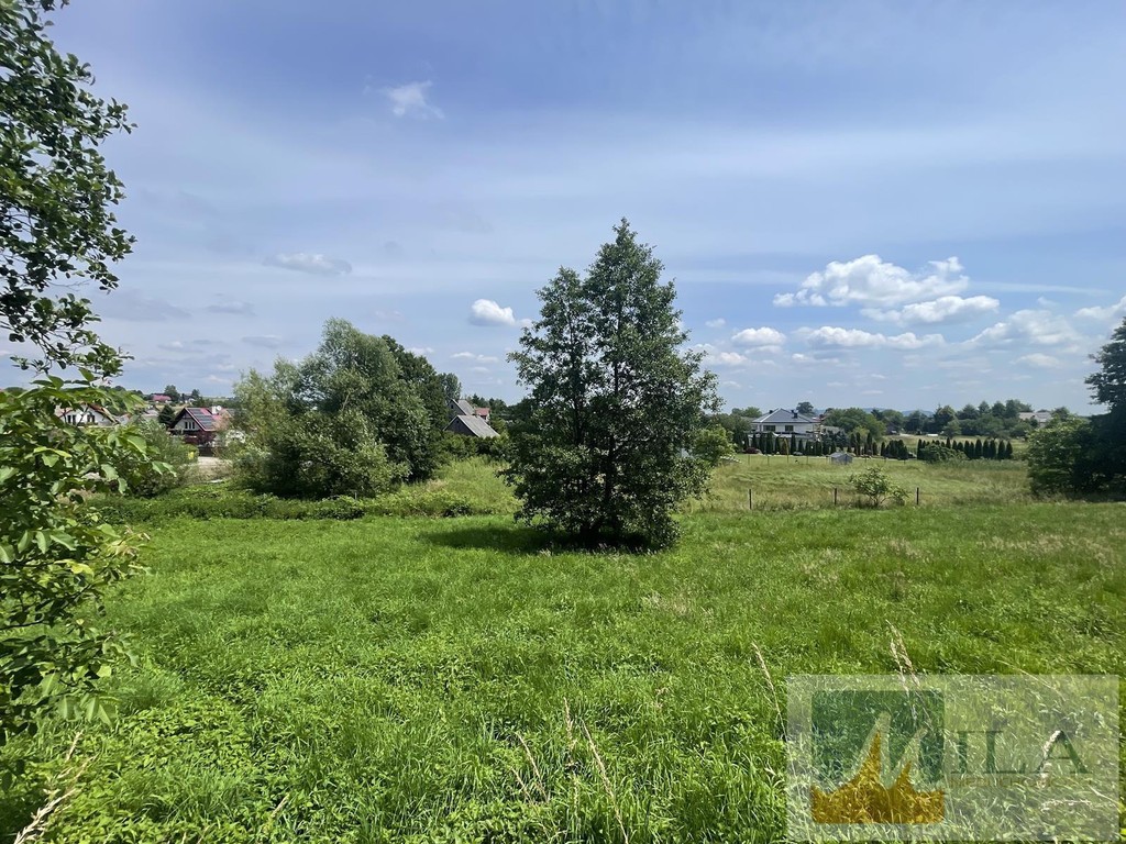 działka budowlano-rolna 29 ar - Widok 4