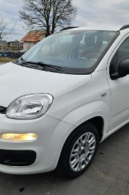 Fiat Panda III Bezwypadkowy, Polski salon, I właściciel,-2