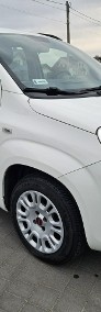 Fiat Panda III Bezwypadkowy, Polski salon, I właściciel,-3