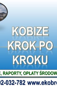 Raport do Kobize, sprawozdanie, obsługa firmy, raportowanie, zgłoszenie zakładu.-2