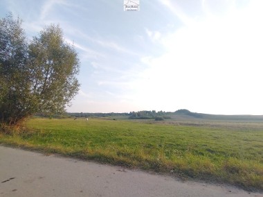 Działka  0,6 ha  Falki  gminy  Gnojno ,  powiat  Buski  ,  przy  asfalcie .-1
