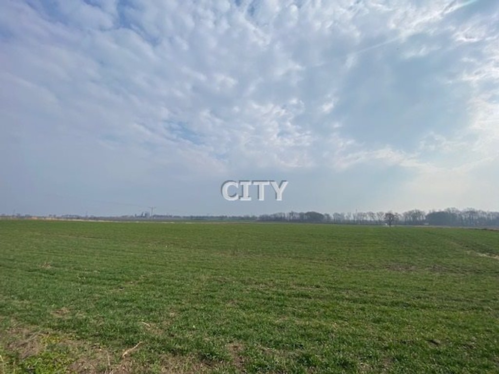 Działka budowlana/atrakcyjna cena - Widok 3
