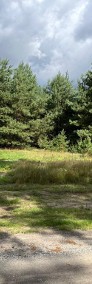 Urokliwe działki pośród zieleni w gminie Łubowo-4