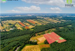 Działka budowlana Skierniewice