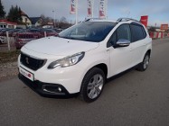 Peugeot 2008 Style, Lift, Kamera