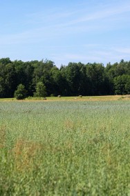 Malownicze siedlisko 13 ha przy lesie i łąkach-2