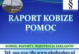 Ile kosztuje raport do Kobize, cena, za wykonanie sprawozdania do Kobize