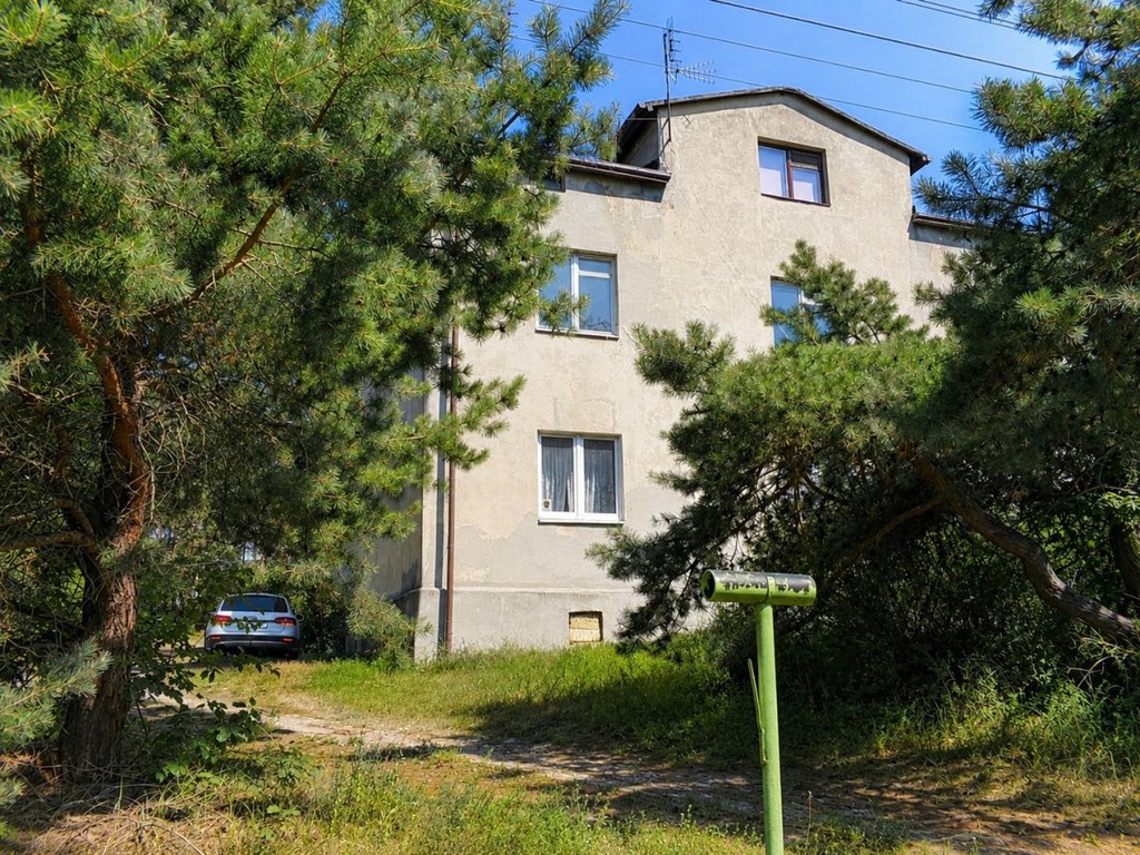 Własny las | 1869 m² zieleni | Międzyborów