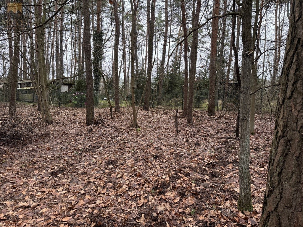 Działka pod rekreację blisko Narwi - View 2