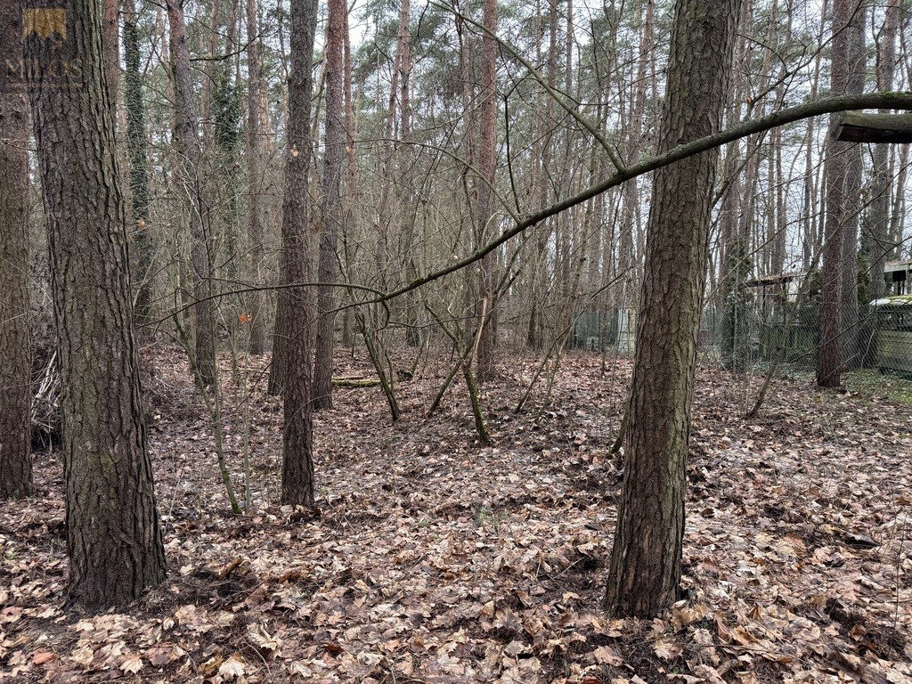 Działka pod rekreację blisko Narwi - View 6