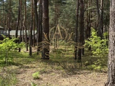 Wyjątkowa działka w otoczeniu lasu w Mostówce-1