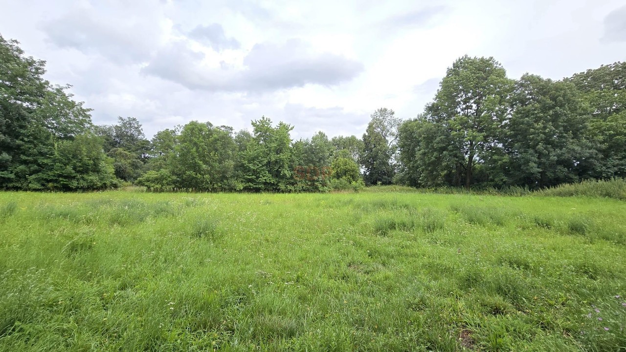 Działka 1,74 ha /dom do remontu / siedlisko - Widok 2