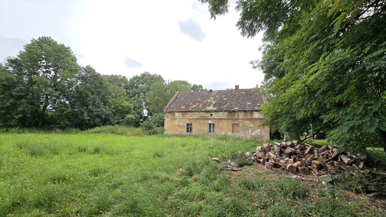 Działka 1,74 ha /dom do remontu / siedlisko - Widok 3