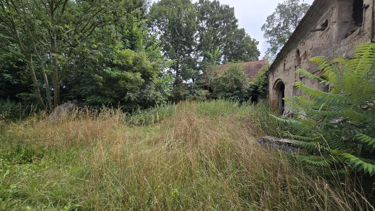 Działka 1,74 ha /dom do remontu / siedlisko - Widok 4