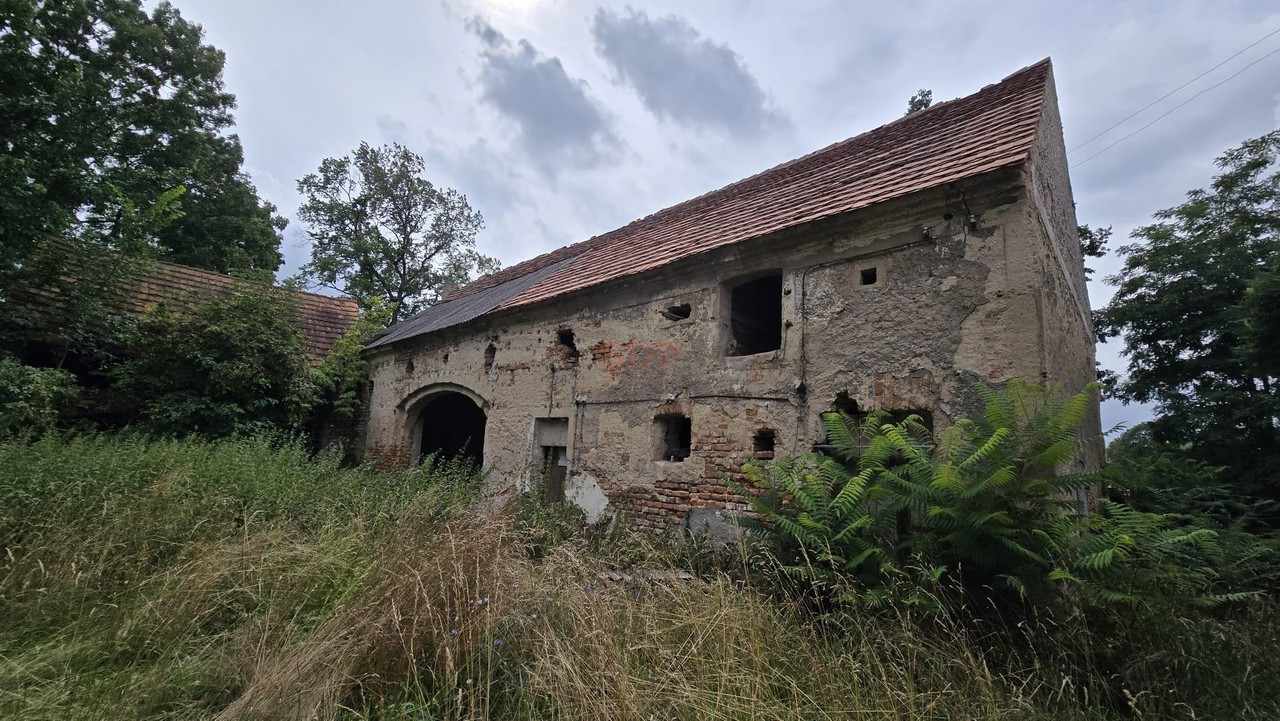 Działka 1,74 ha /dom do remontu / siedlisko - Widok 5