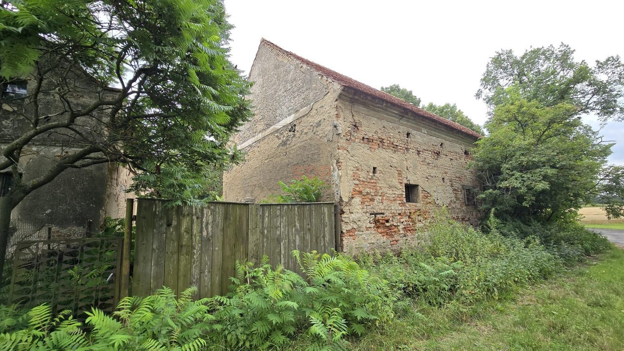 Działka 1,74 ha /dom do remontu / siedlisko - Widok 6