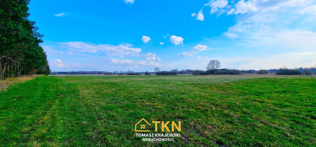 Działka budowlana 9133m² - Latowicz, pow. Miński - Widok 3