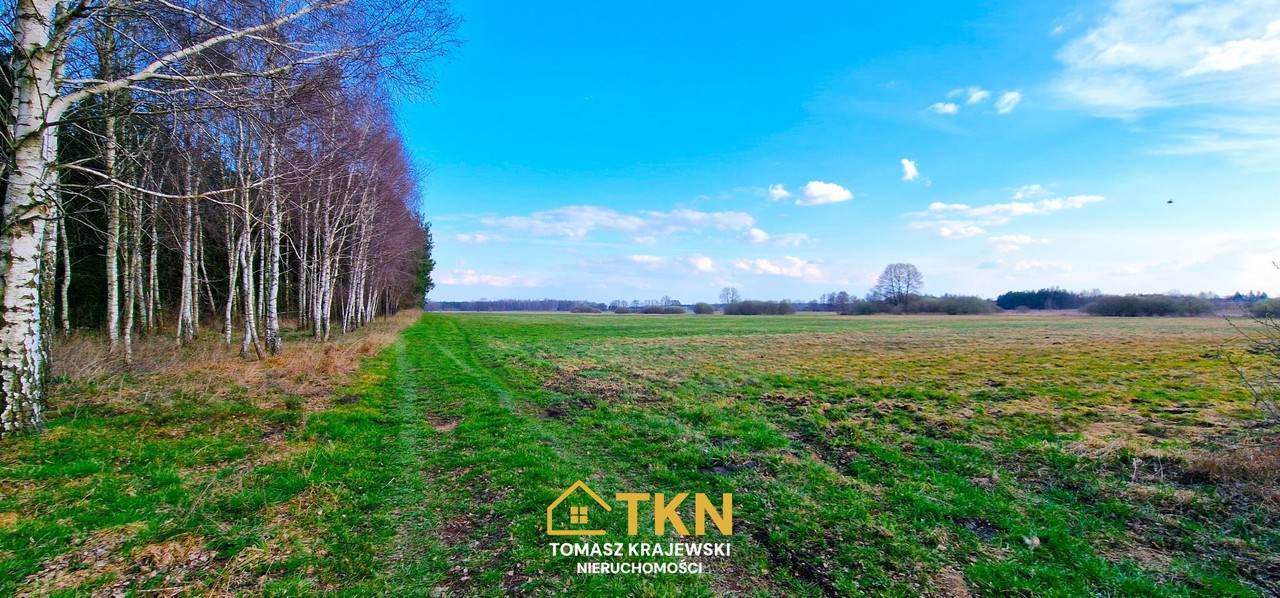 Działka budowlana 9133m² - Latowicz, pow. Miński - Widok 4