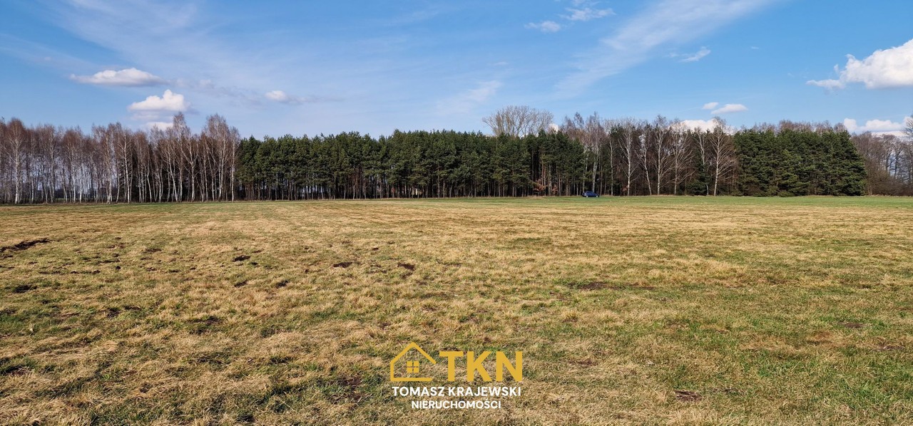 Działka budowlana 9133m² - Latowicz, pow. Miński - Widok 6