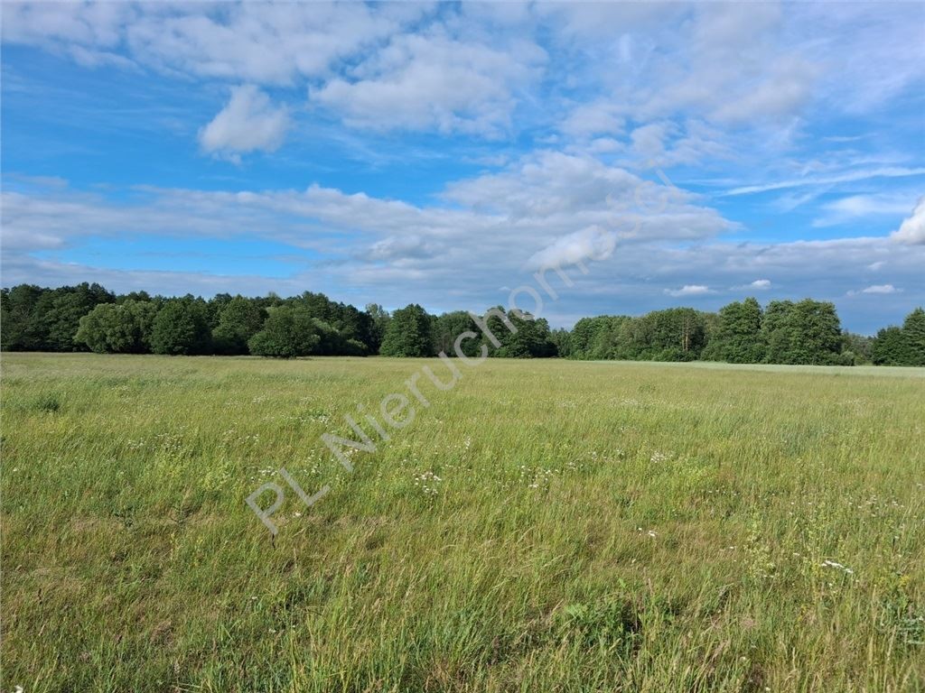 Działka na sprzedaż, 10600 m², Jaktorów Stare Budy - Widok 2