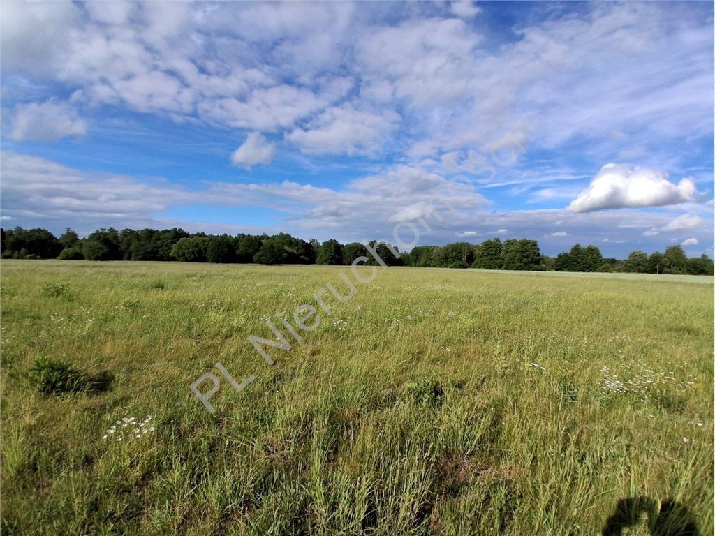 Działka na sprzedaż, 10600 m², Jaktorów Stare Budy - Widok 3