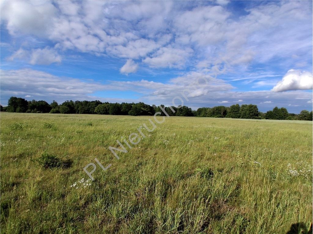 Działka na sprzedaż, 10600 m², Jaktorów Stare Budy - Widok 4