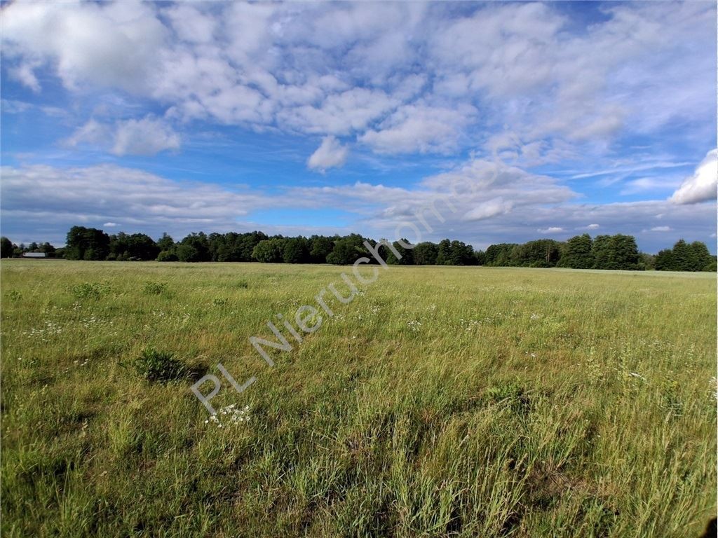 Działka na sprzedaż, 10600 m², Jaktorów Stare Budy - Widok 5