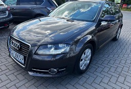 Audi A3 II (8P) 1.6 Tdi 105 KM Led Alu Navi !