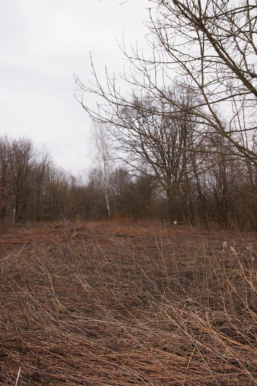 Rolno-budowlana działka w Kazimierzu Dolnym., puławski
