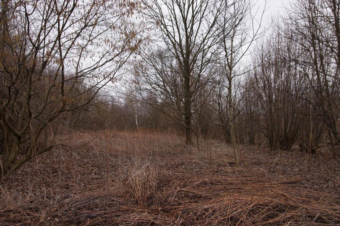 Rolno-budowlana działka w Kazimierzu Dolnym. - Widok 3